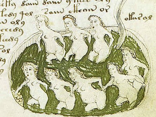 Voynich-Manuskript, Detail einer Illustration